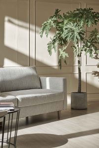 Sofa Adelaide 3 chỗ - phối cảnh